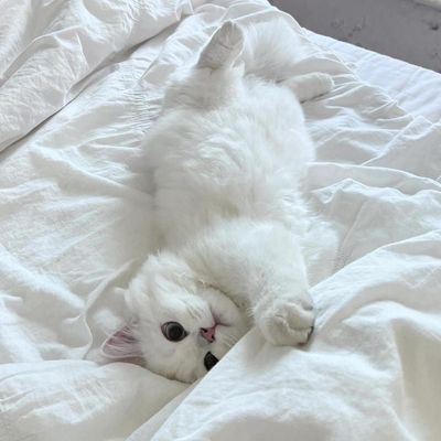 長さだしオフ