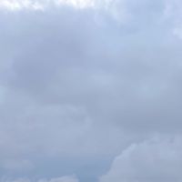 akari_toto0809