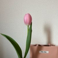 miyu1003