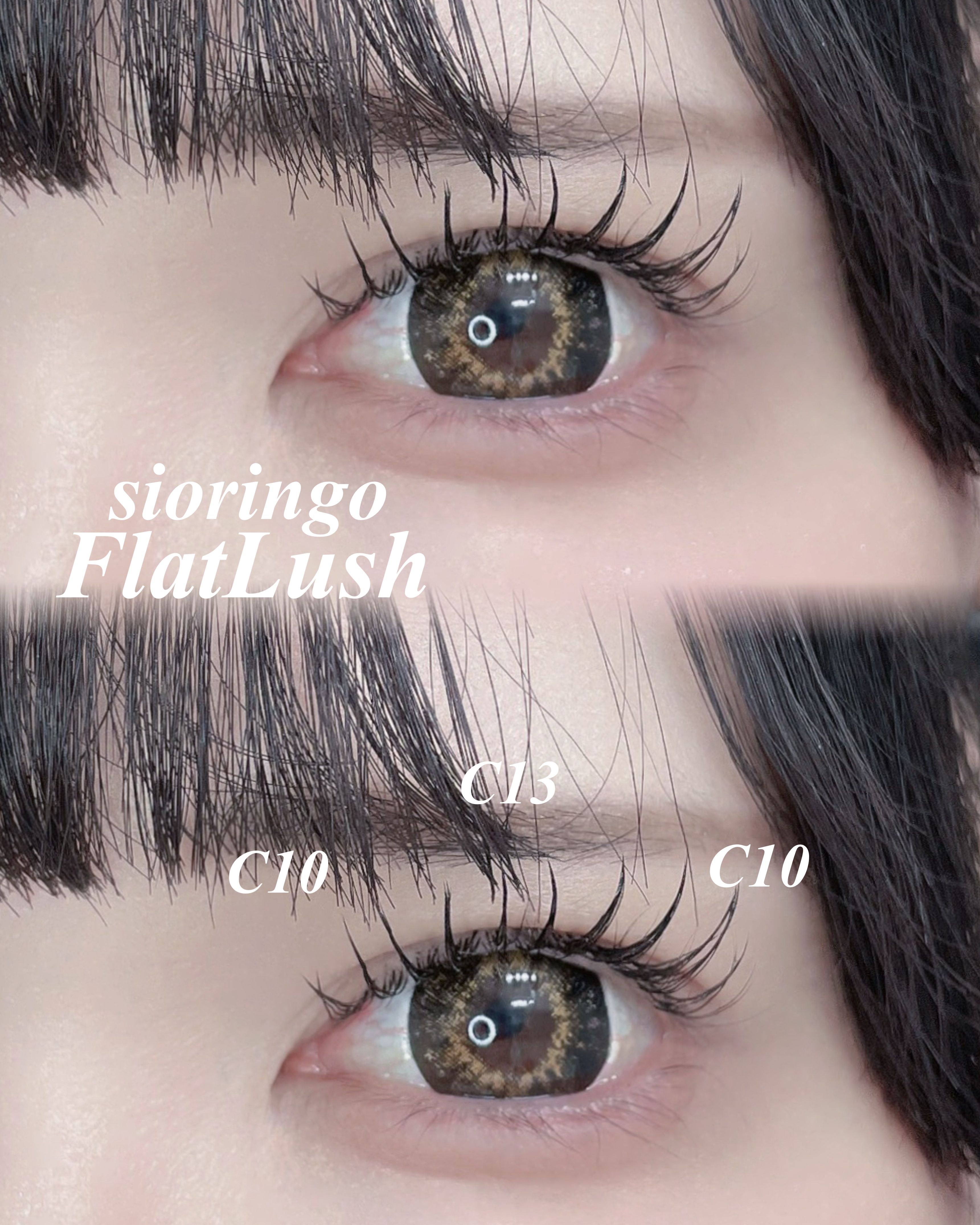 haruka.eyelash