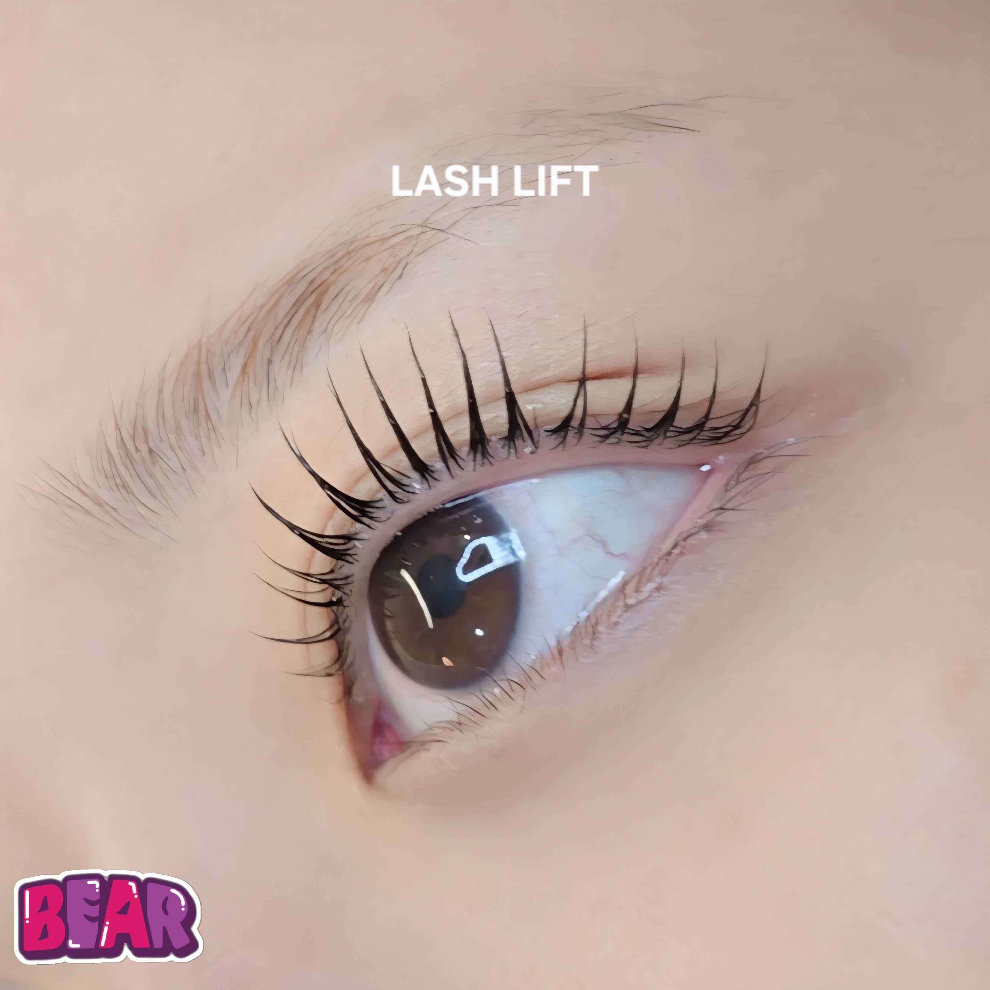 bear._.eyelash
