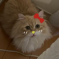 ma_yuo