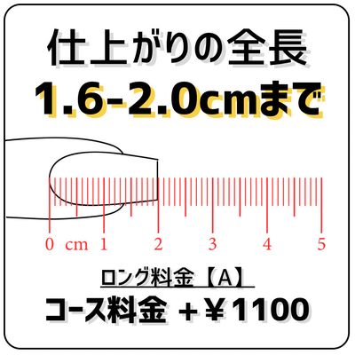 ⚠️単品不可⚠️ロング料金【Ａ】(全長1.6〜2.0cm)