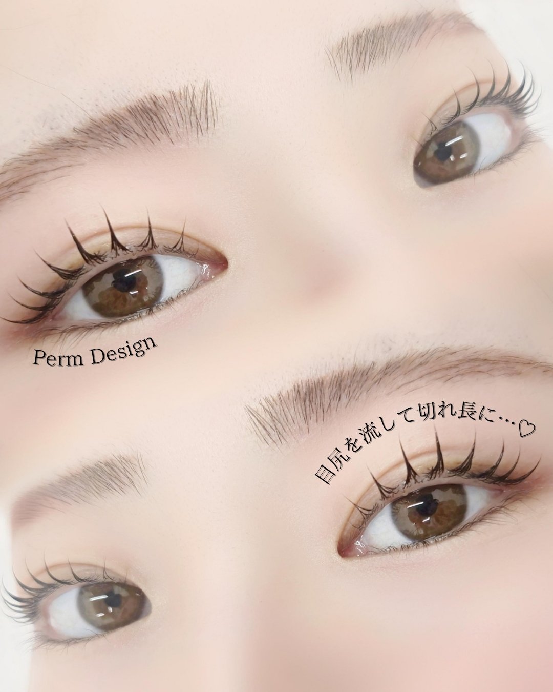 daisy_yurika