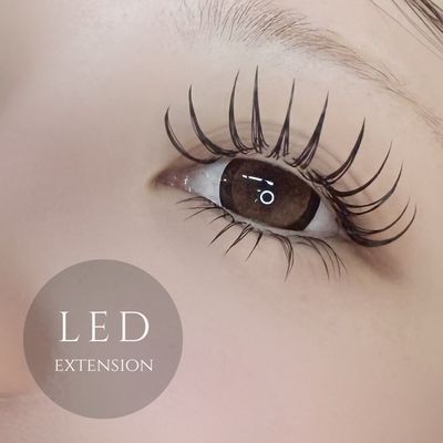 【LEDマツエク】フラットラッシュ 付け放題