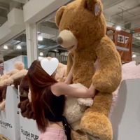 CRISTA_chikako
