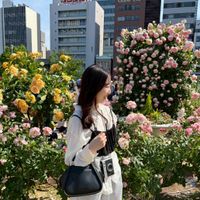 raira_minaho