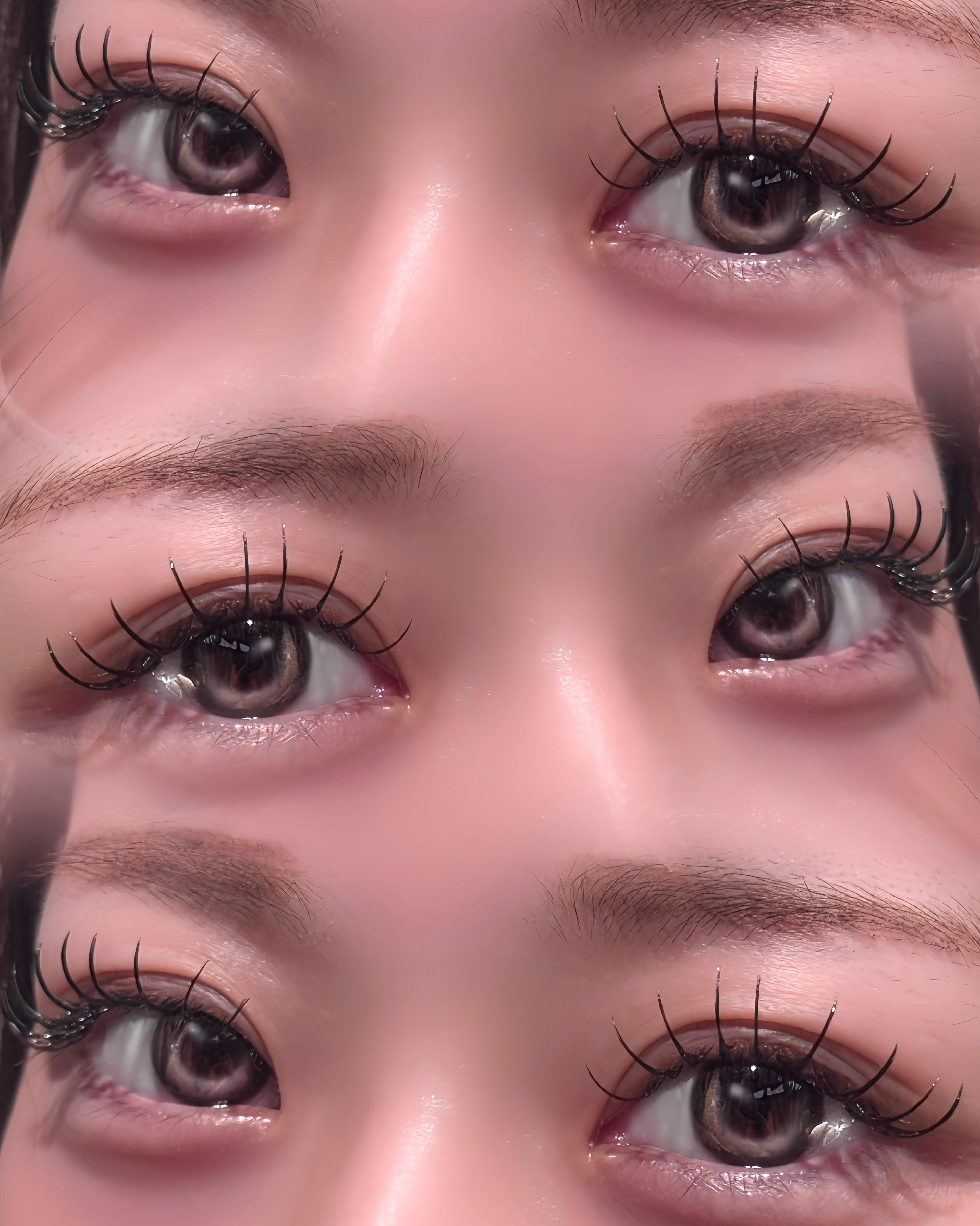 eyelash_mochan