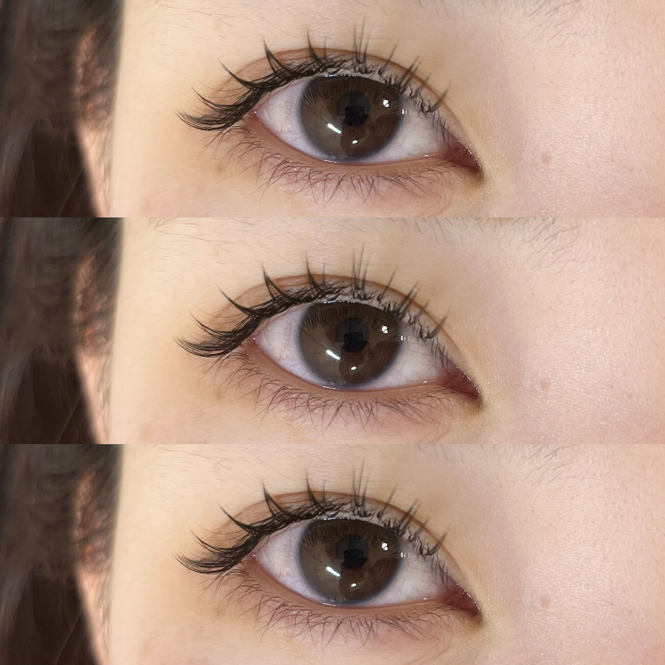 himawari_trueye