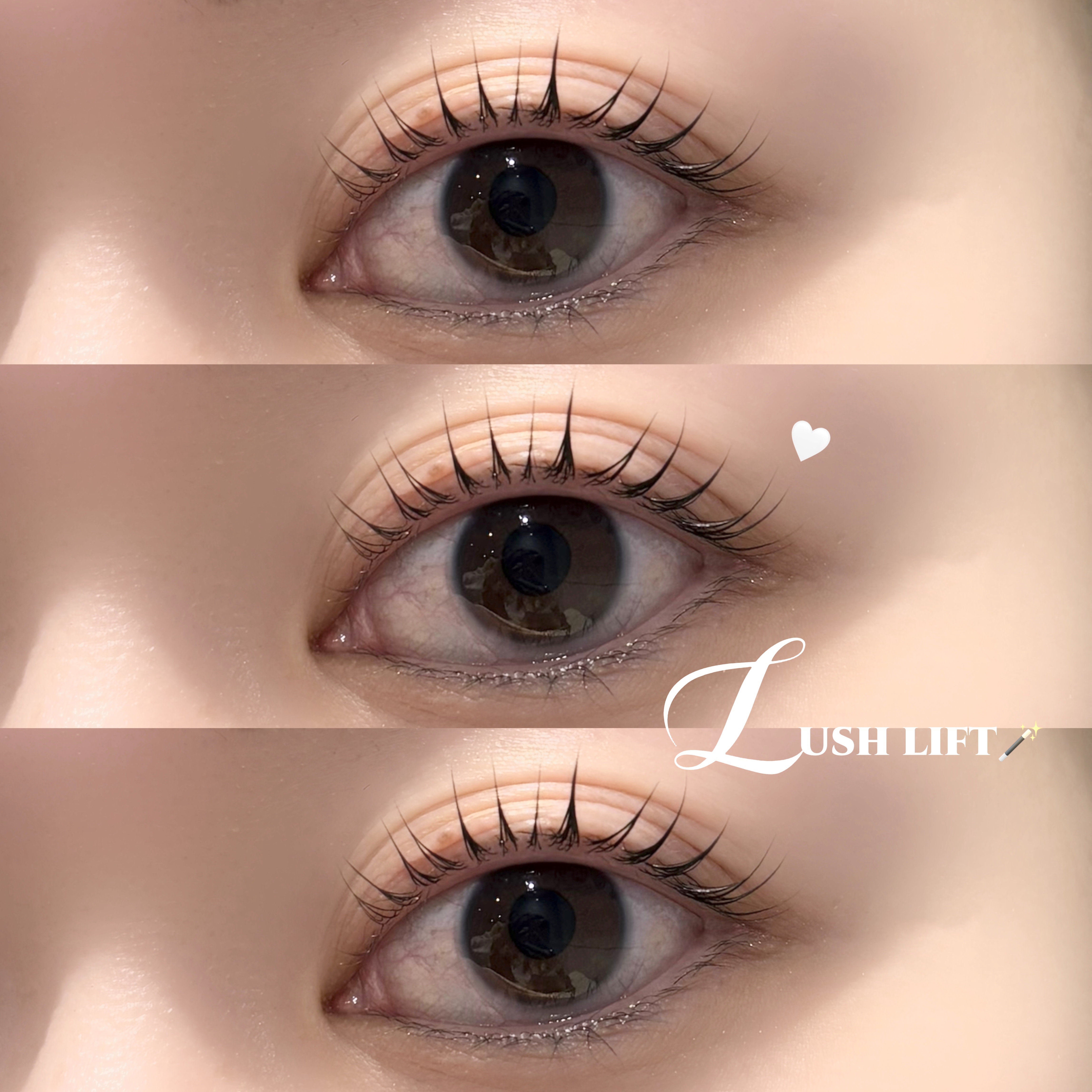 Lia_Dejima.__