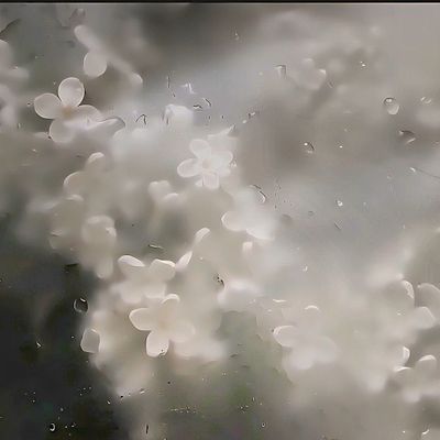 長さ出し7〜9本【1本¥600〜】