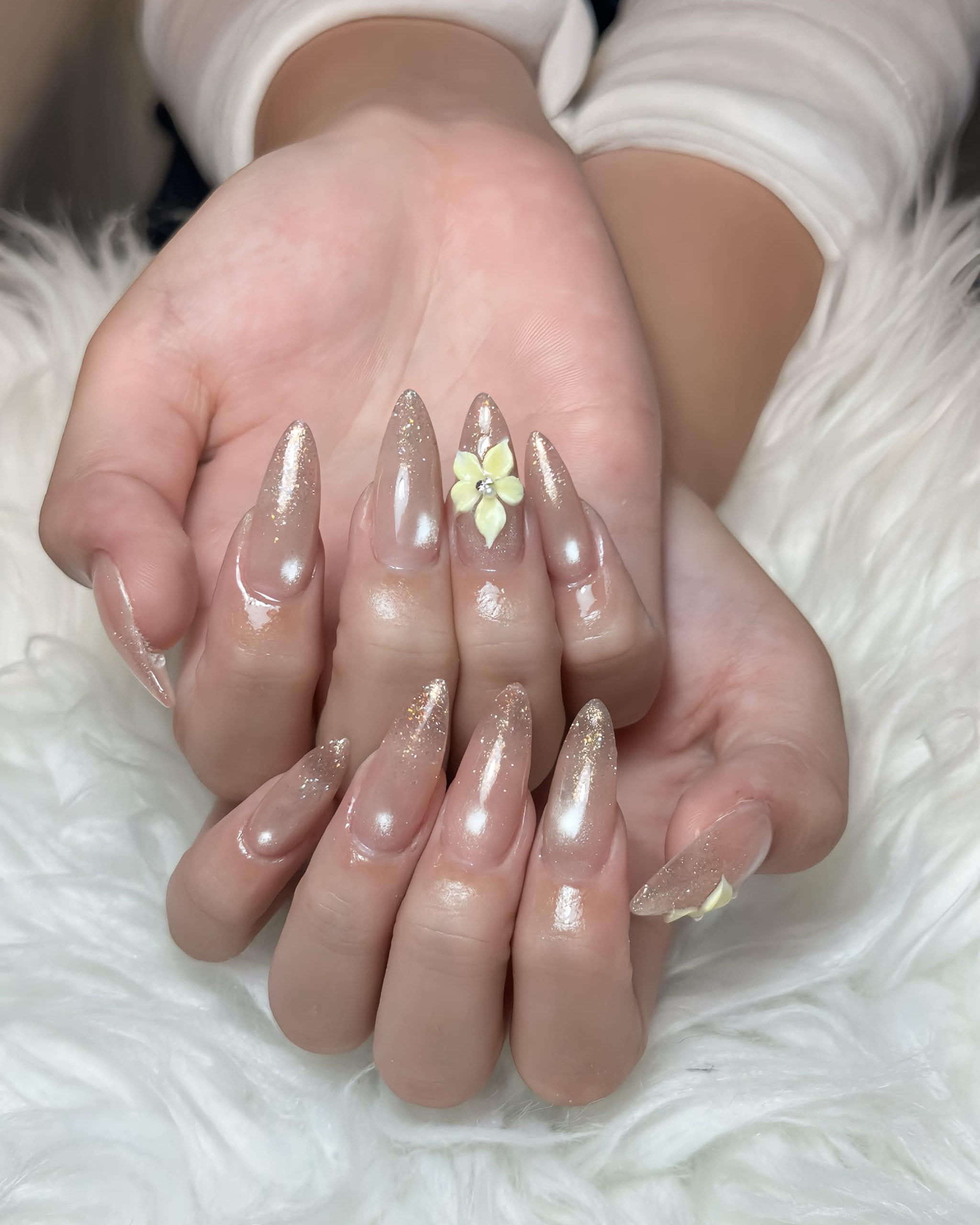 elimuse.CICI