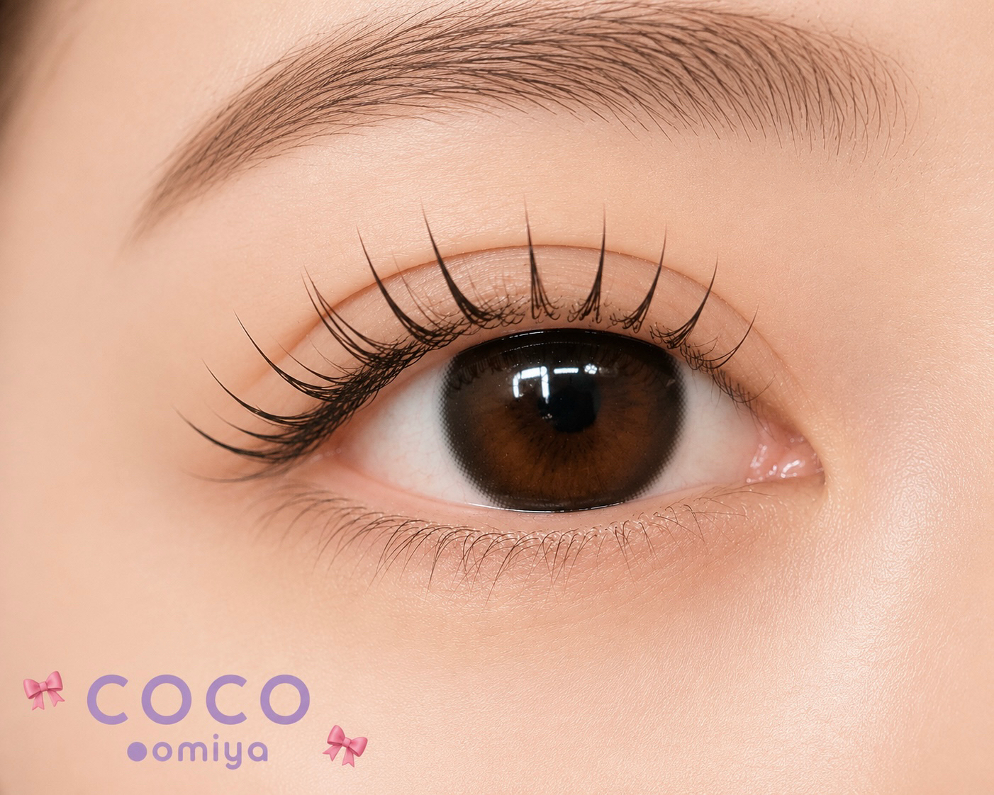 coco_shizuku