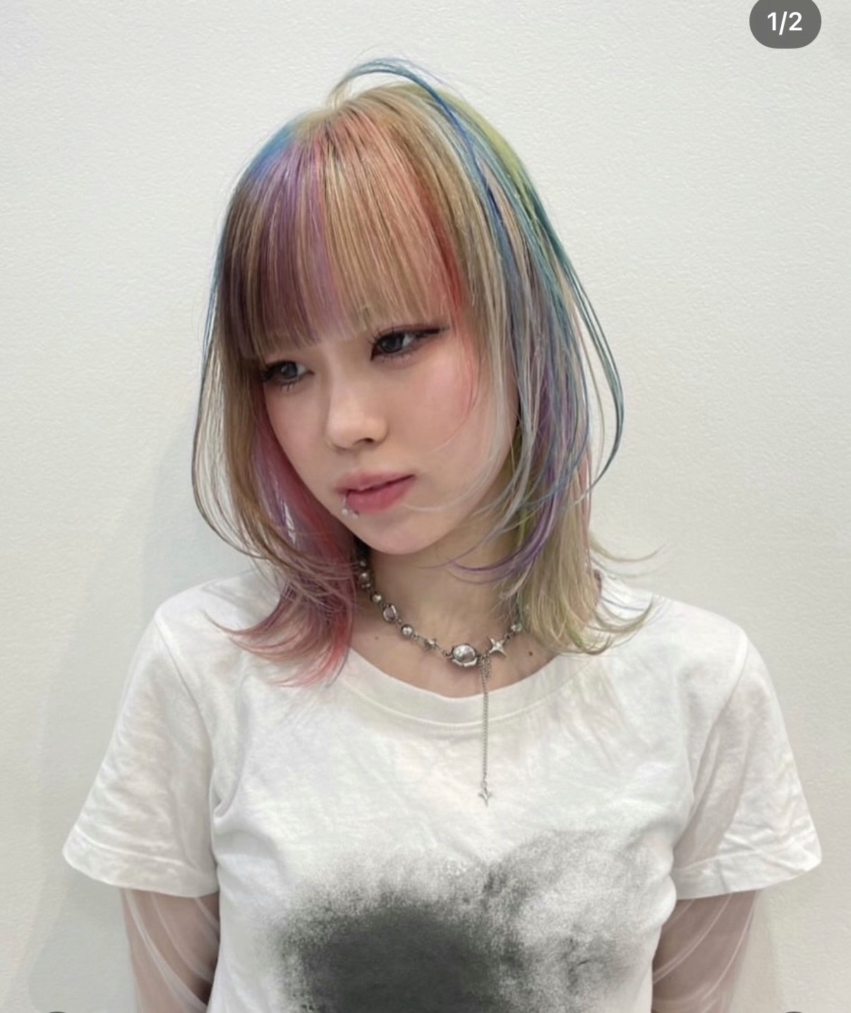 kishi_shachu