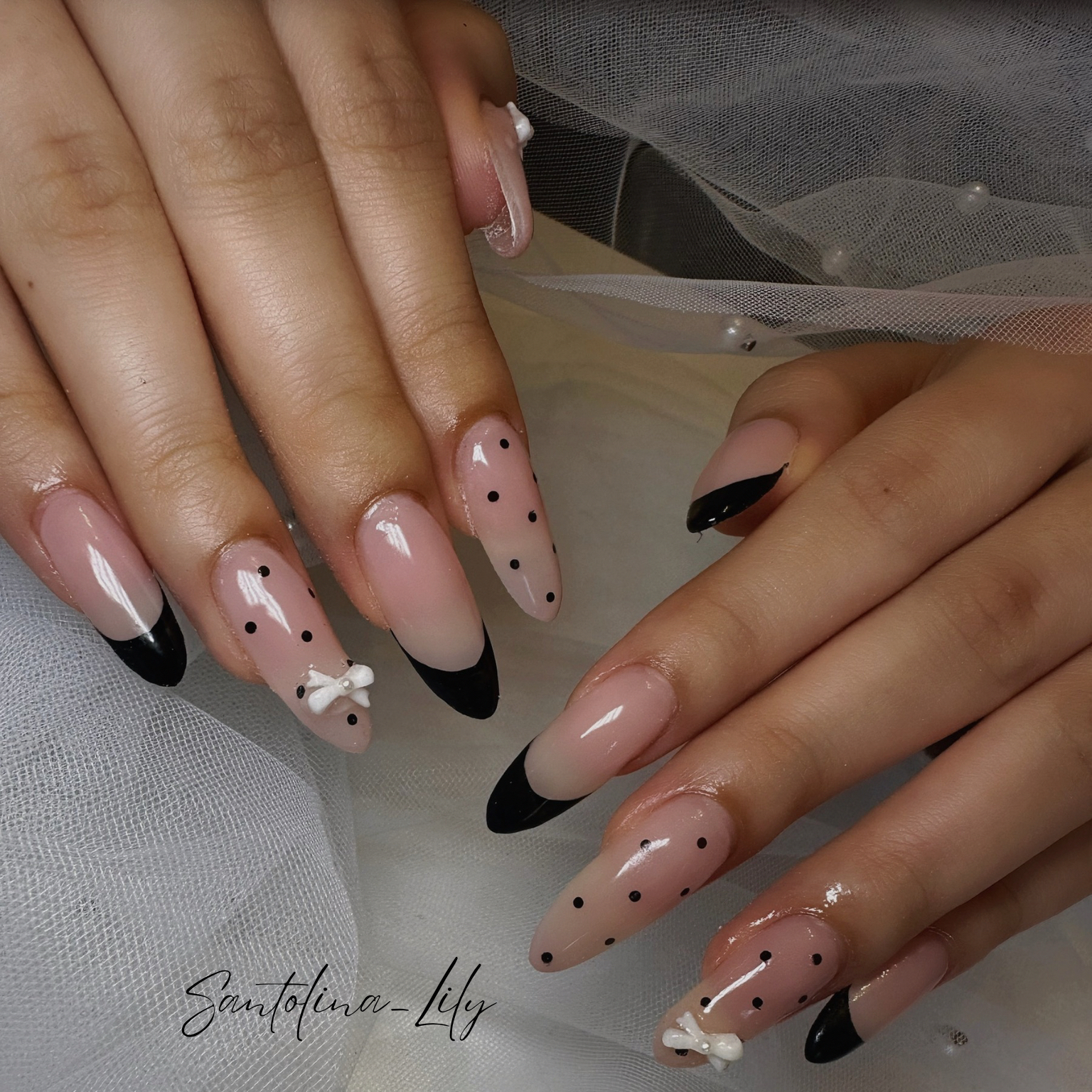 Santolina_Lily