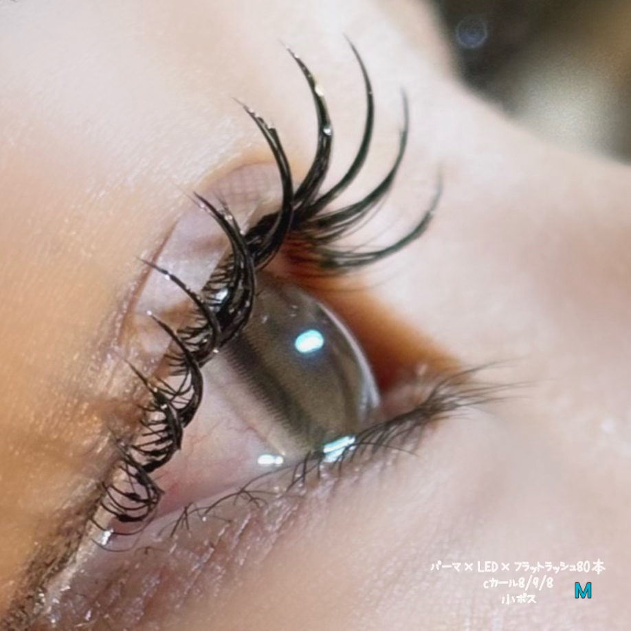 ai__lash__artist