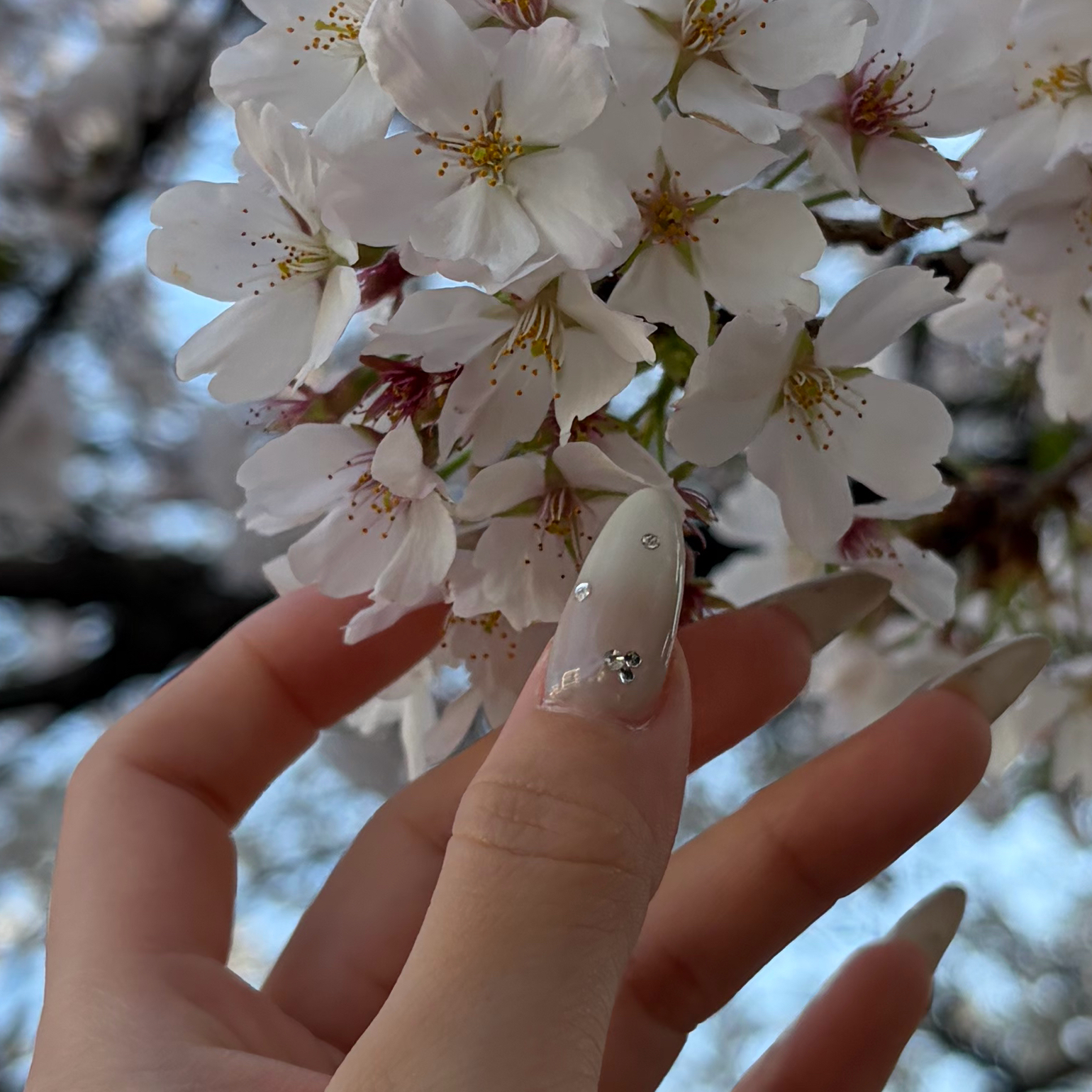 chiharu.k_trunail