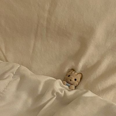 【オフのみ】当店  長さ出し／補強／ハードジェルオフ