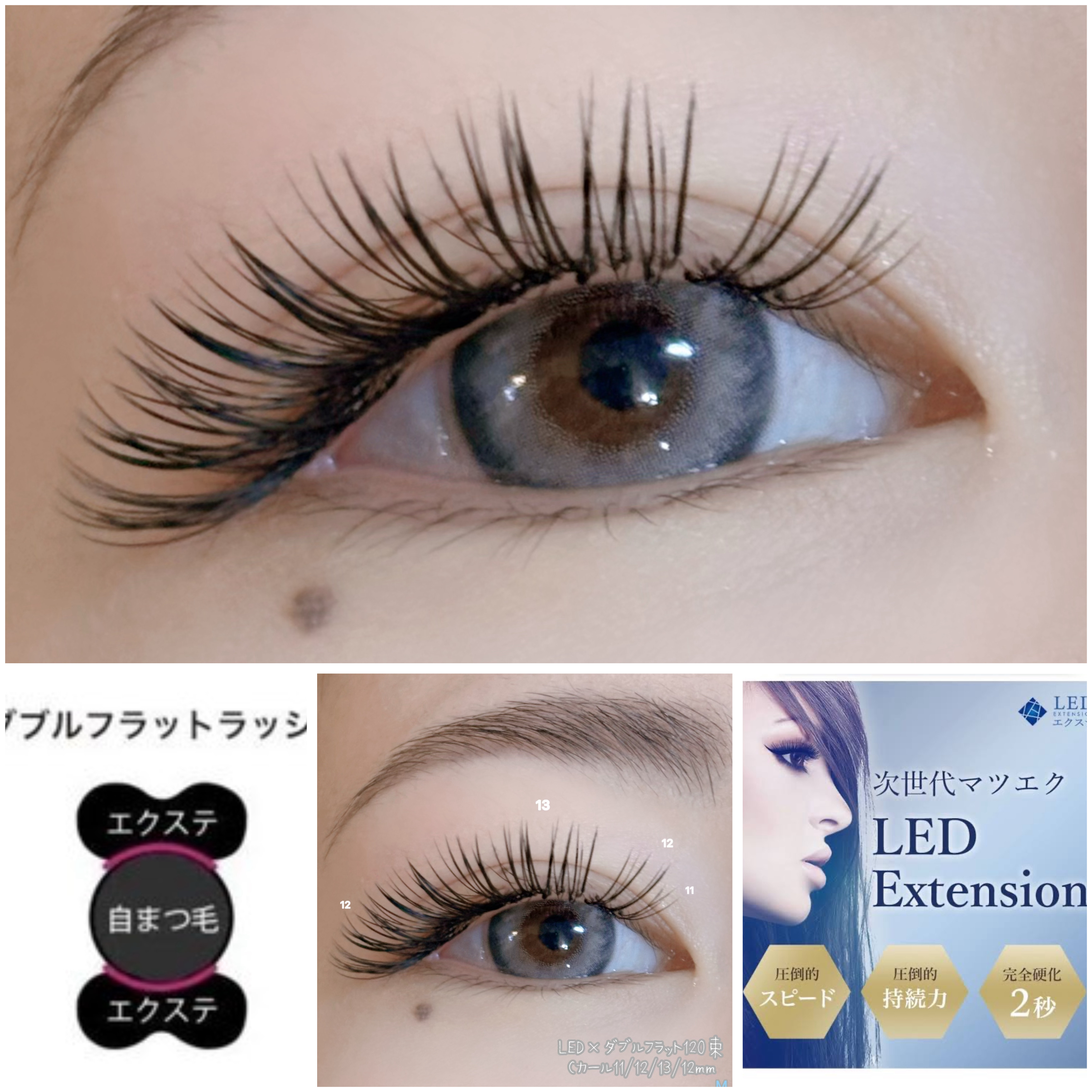 ai__lash__artist
