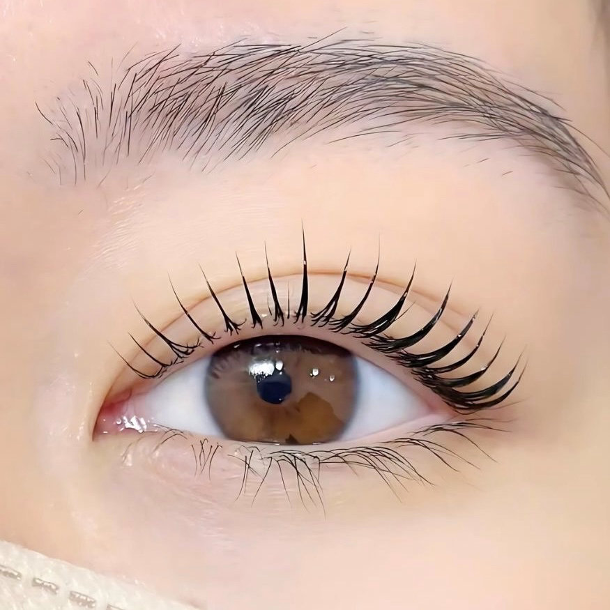 arisa.eye