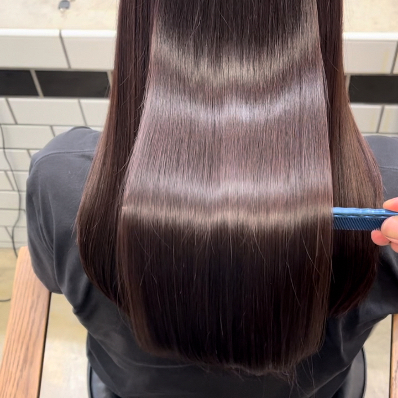 hyoga_1205