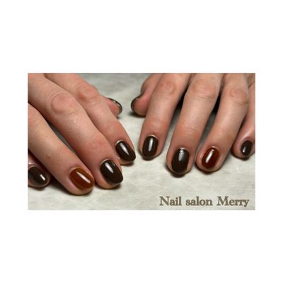 ワンカラー【オフあり】