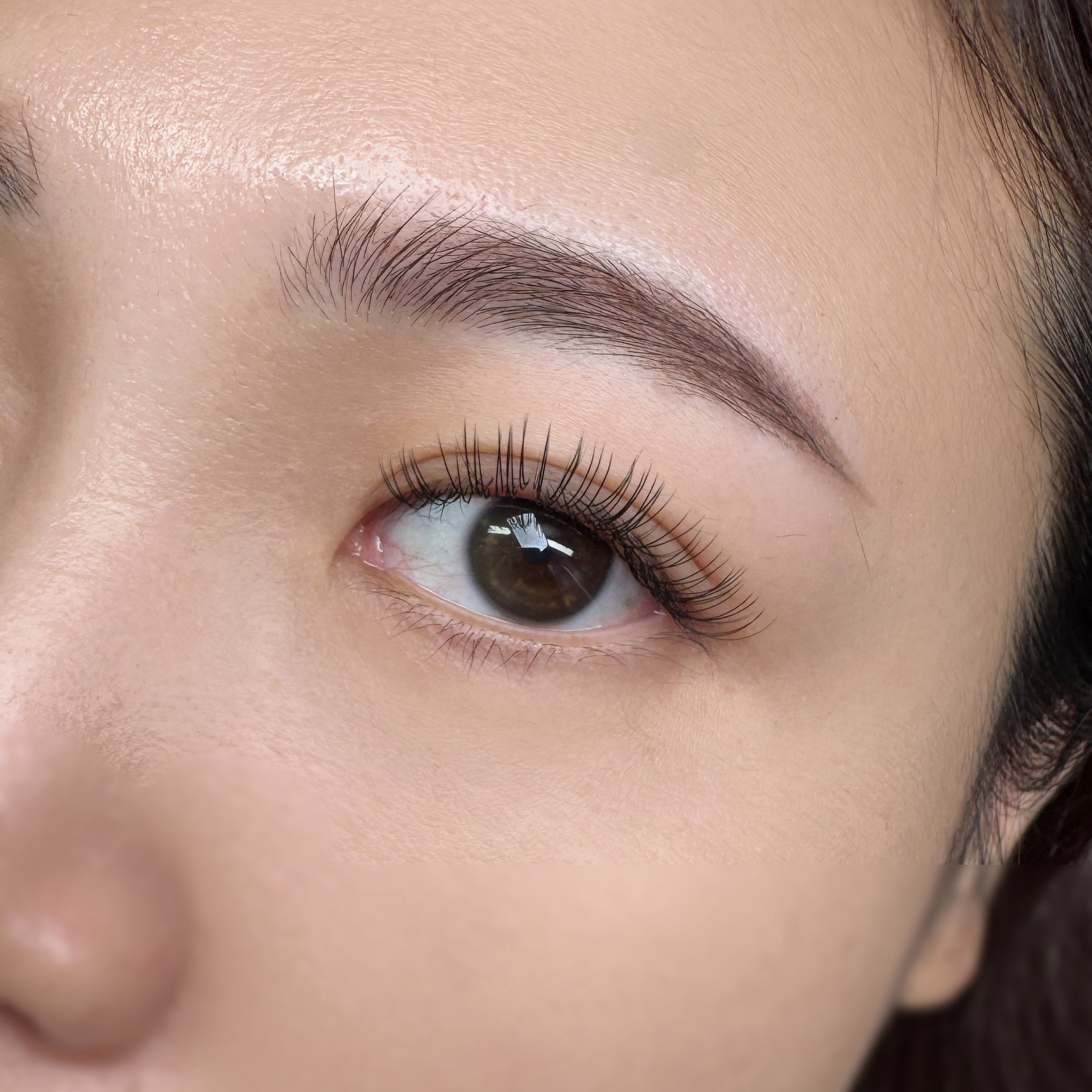 lashartist_ayumi