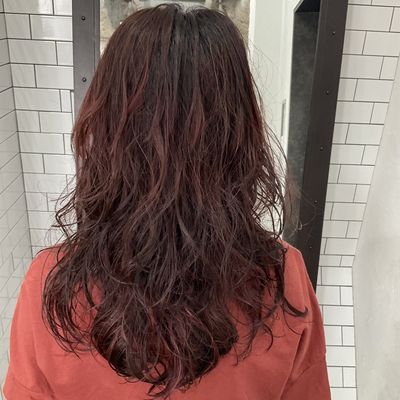平日の当日予約限定　カット+パーマ+トリートメント