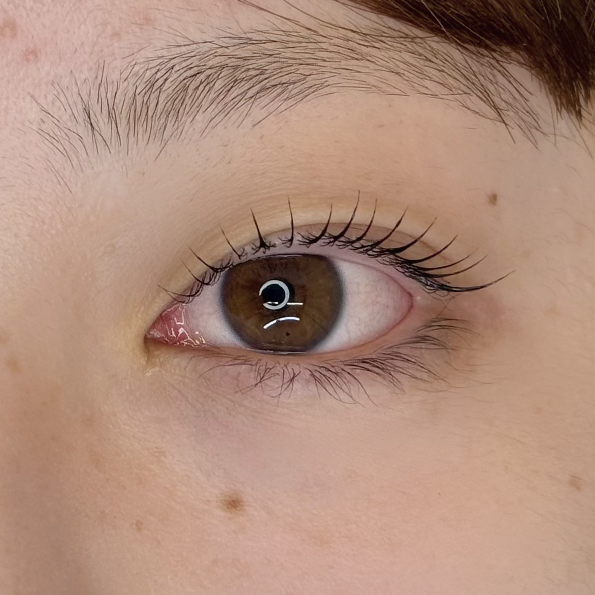 tami_eyelash