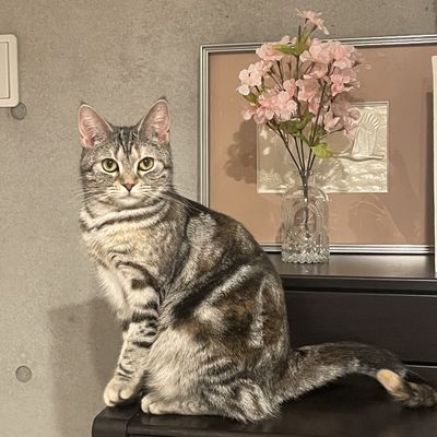 【リピーター様】は、hotpepper beautyからご予約お願い致します♪