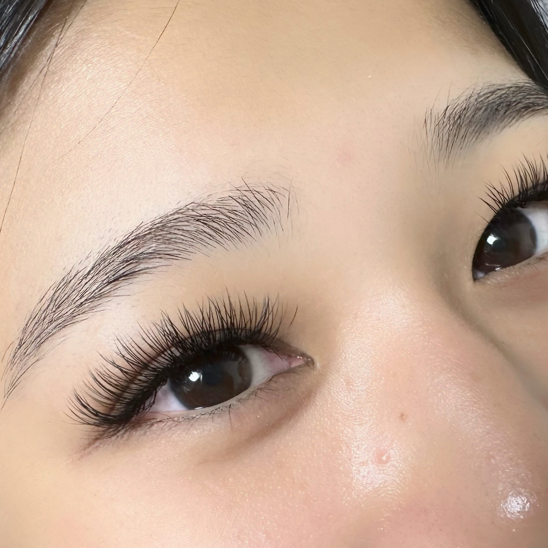 iz.eyelash