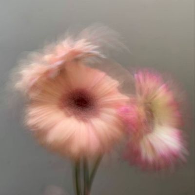 アート1本~