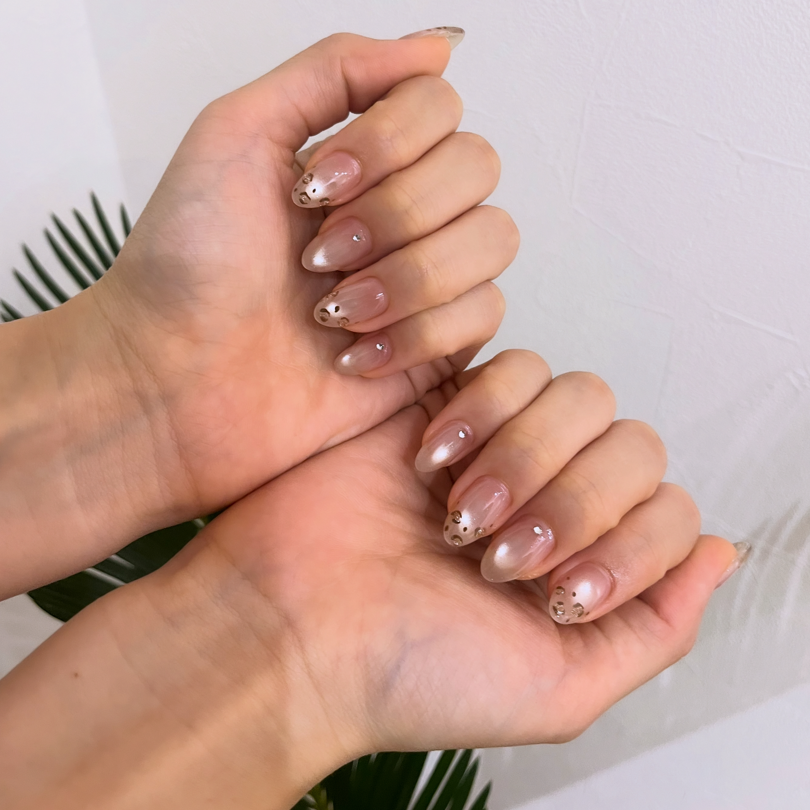 s.ponail