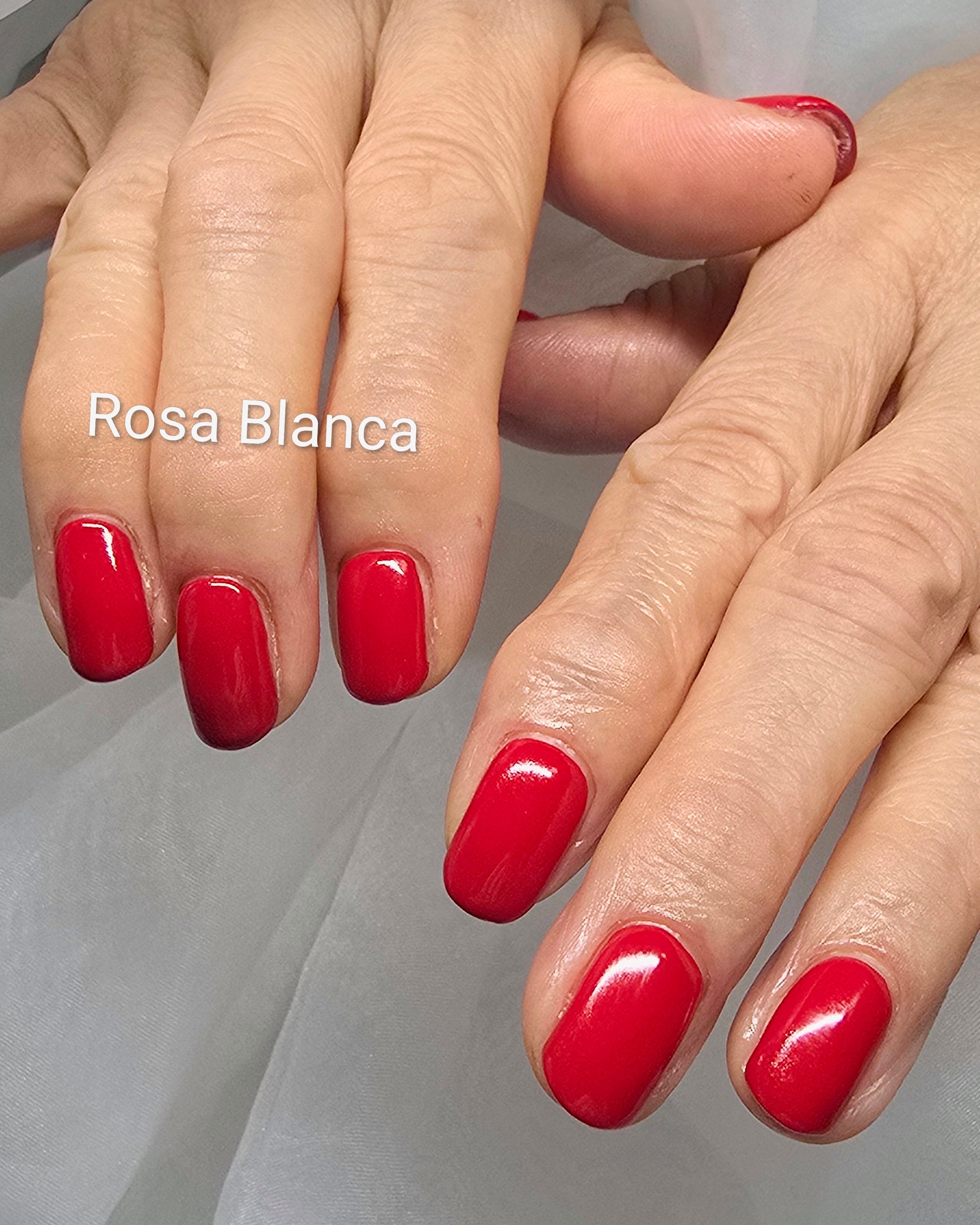 Rosa_Blanca