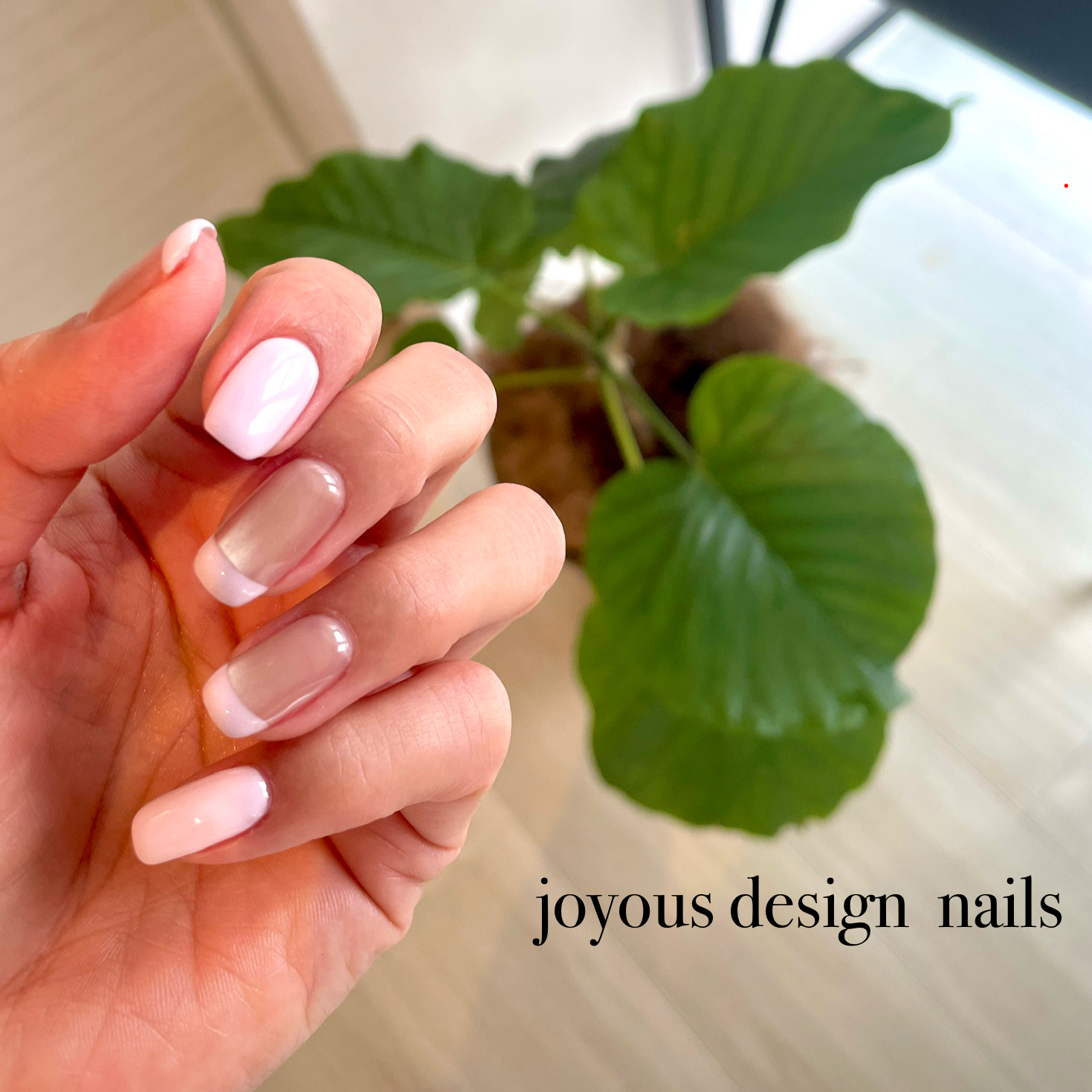 jdn_kayoko