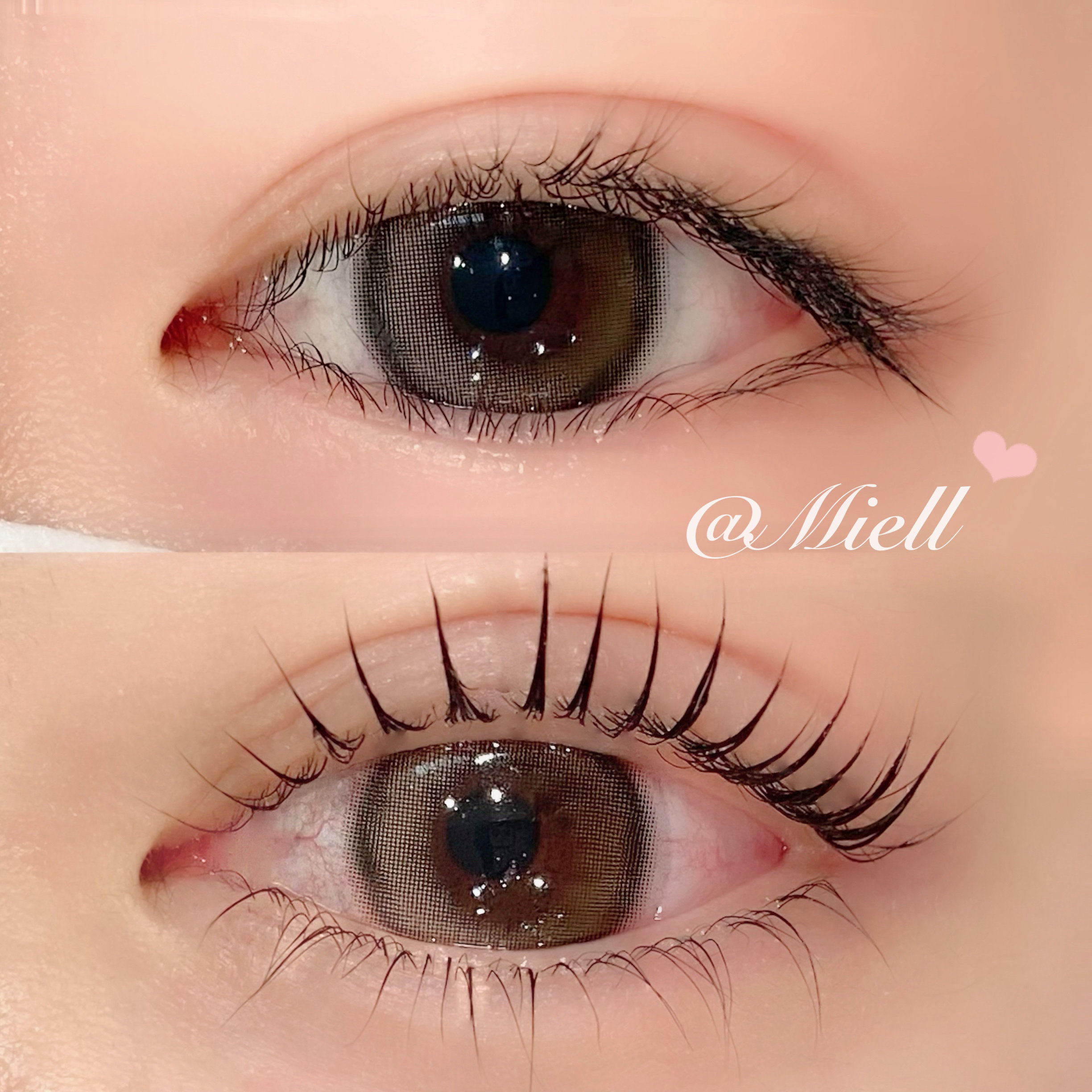 MEI_Miell