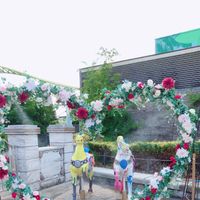 armrin0508
