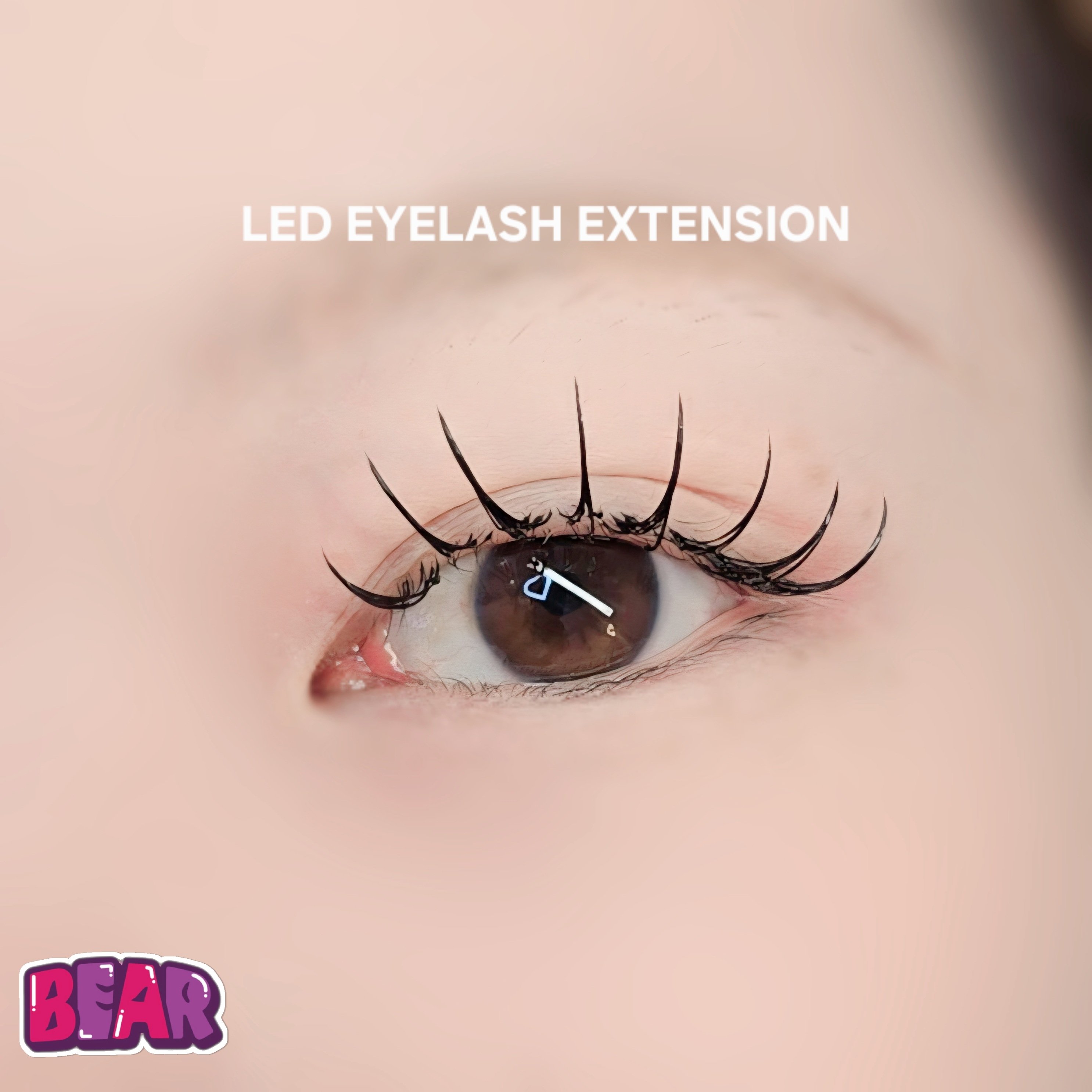 bear._.eyelash