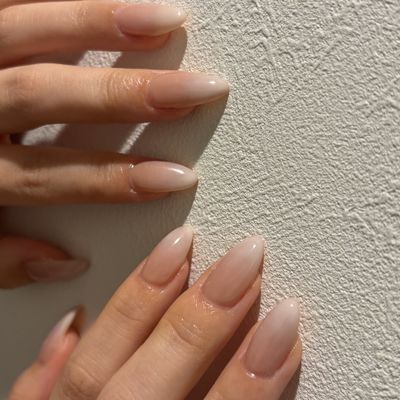 【人気No.3】ベイビーブーマー🌷