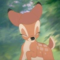 bambi.chan