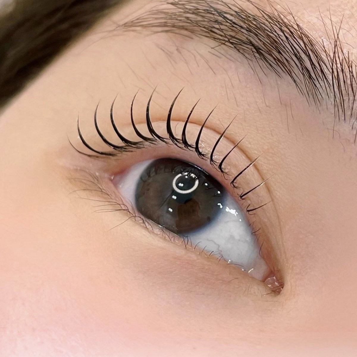 arisa.eye