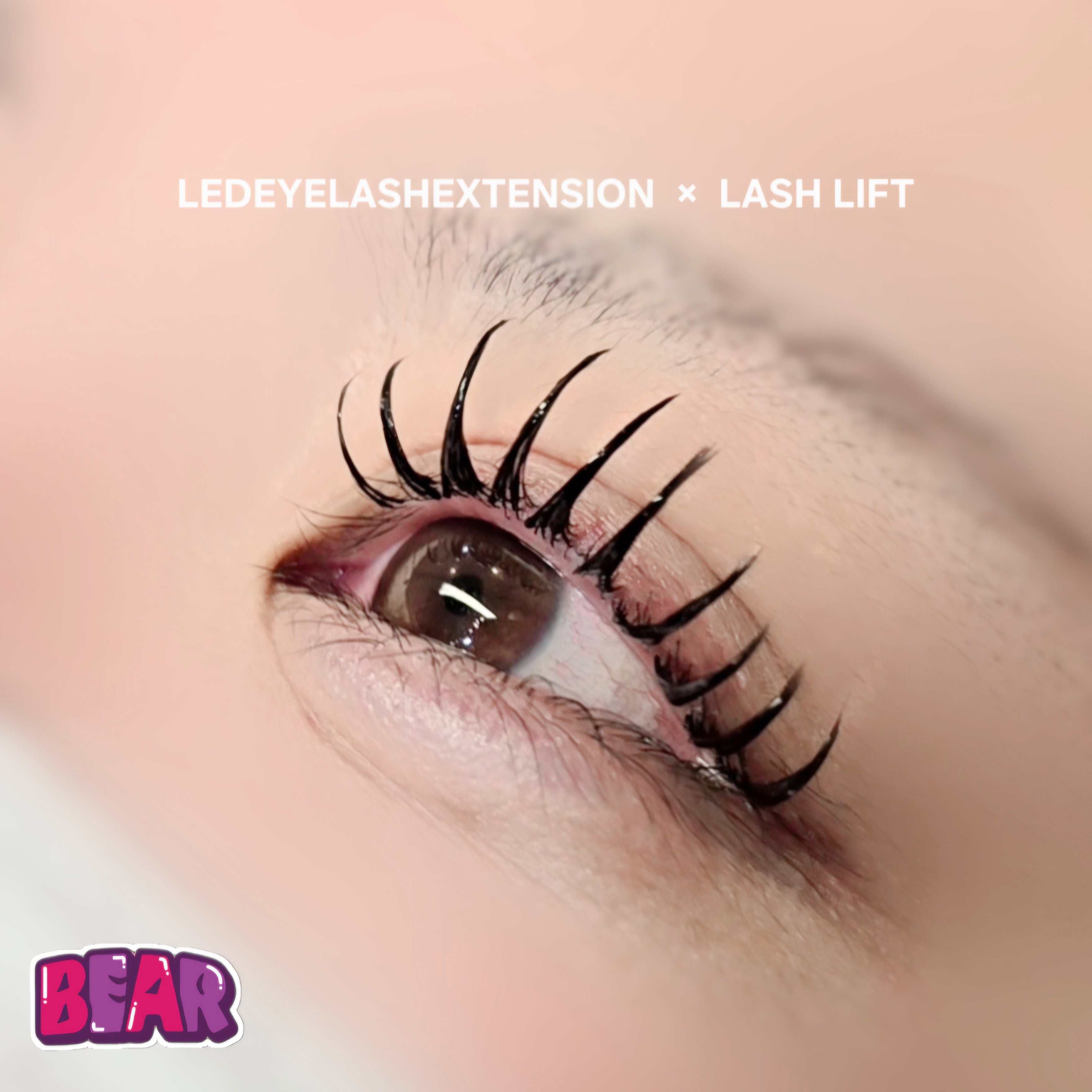 bear._.eyelash