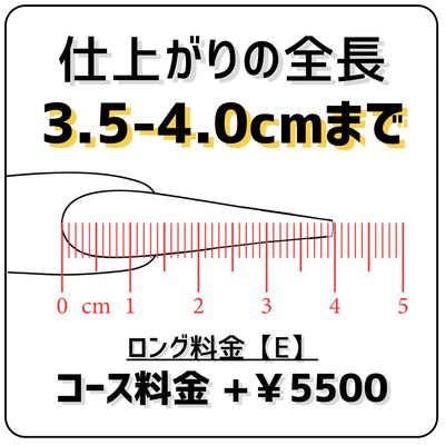 ⚠️単品不可⚠️ロング料金【Ｅ】(全長3.5〜4.0cm)