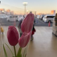 spring_chan1102