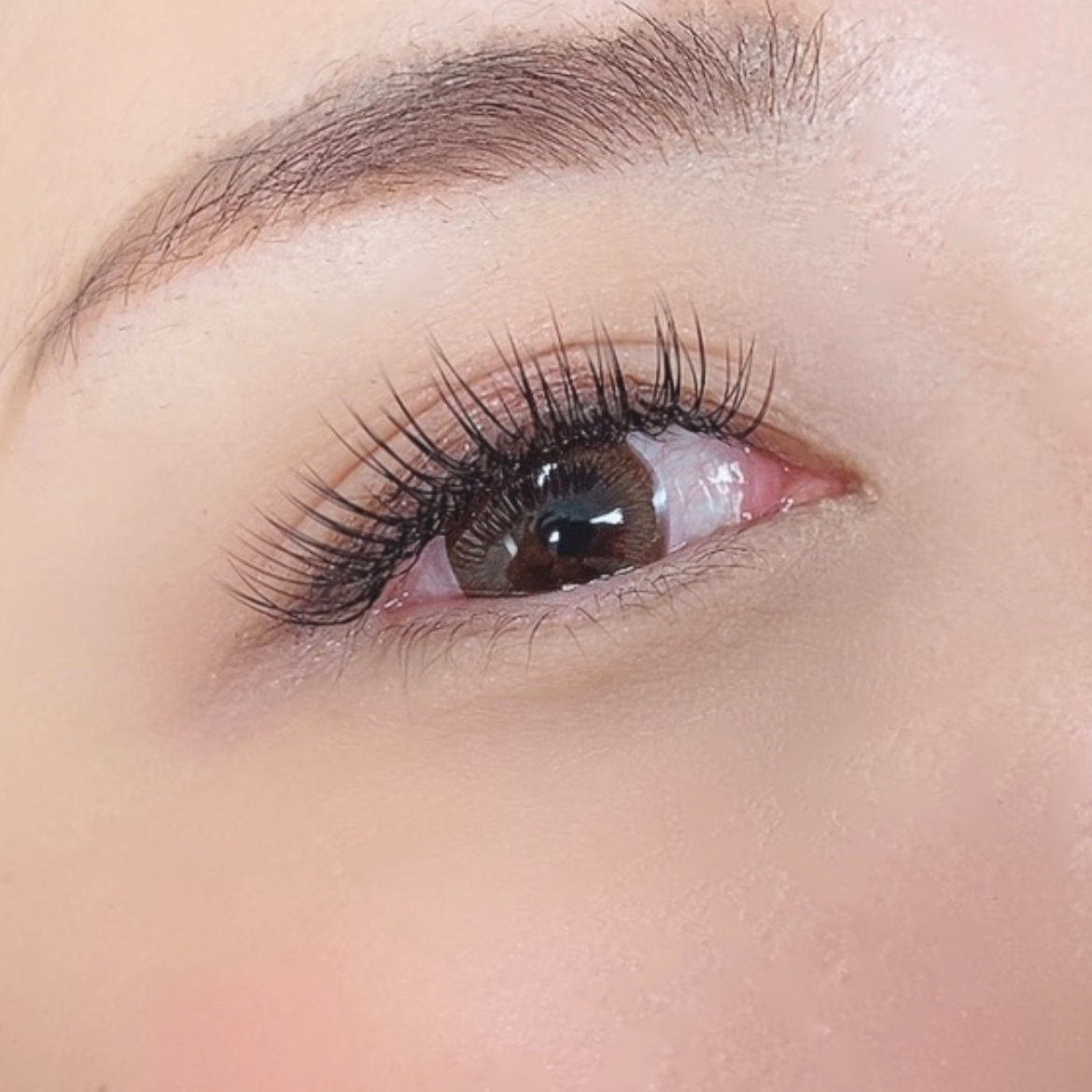 eye_y06