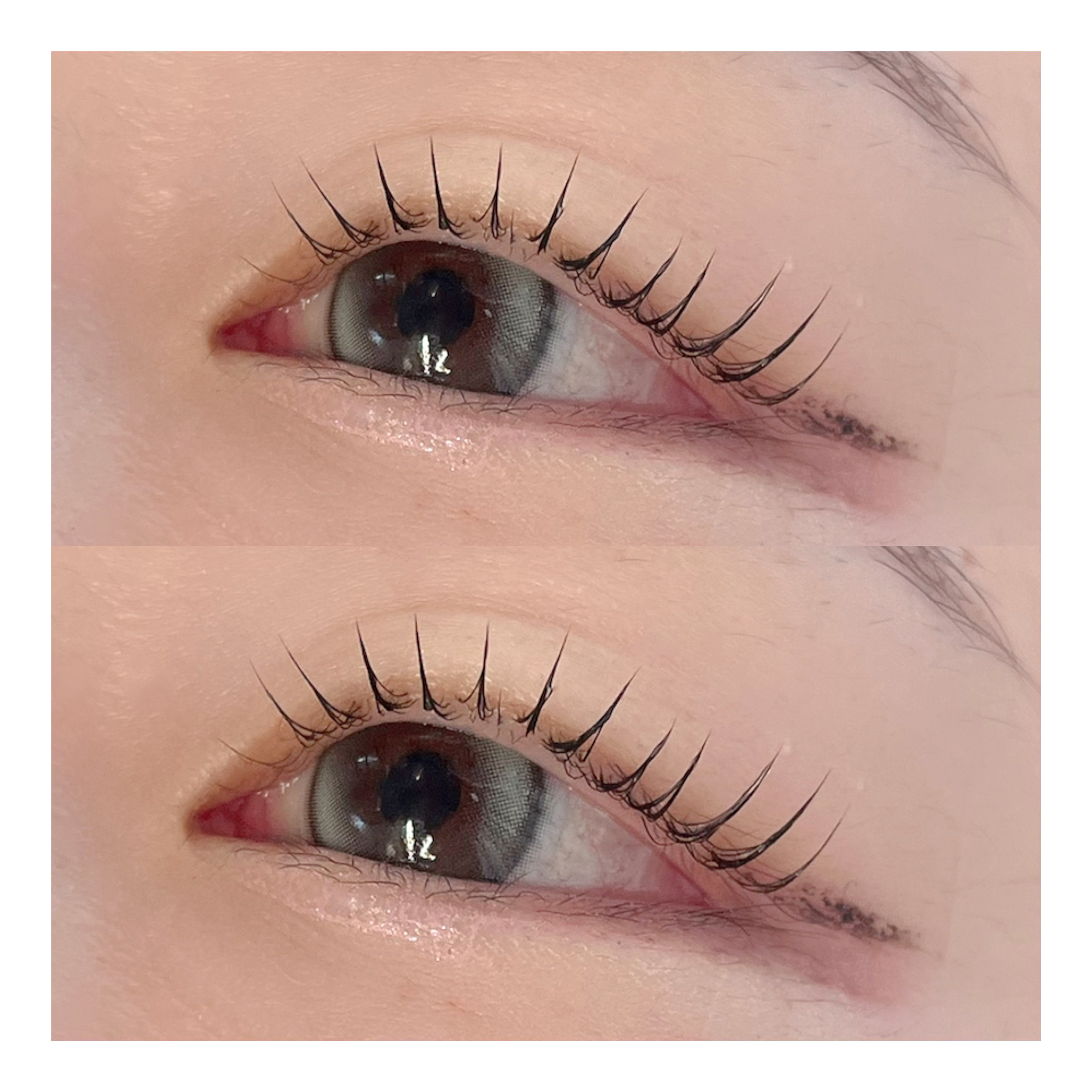 kotori_eyebrow_nnn