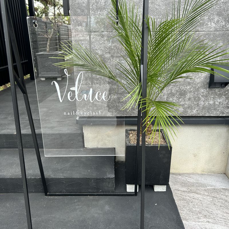 Veluce_kashiwa