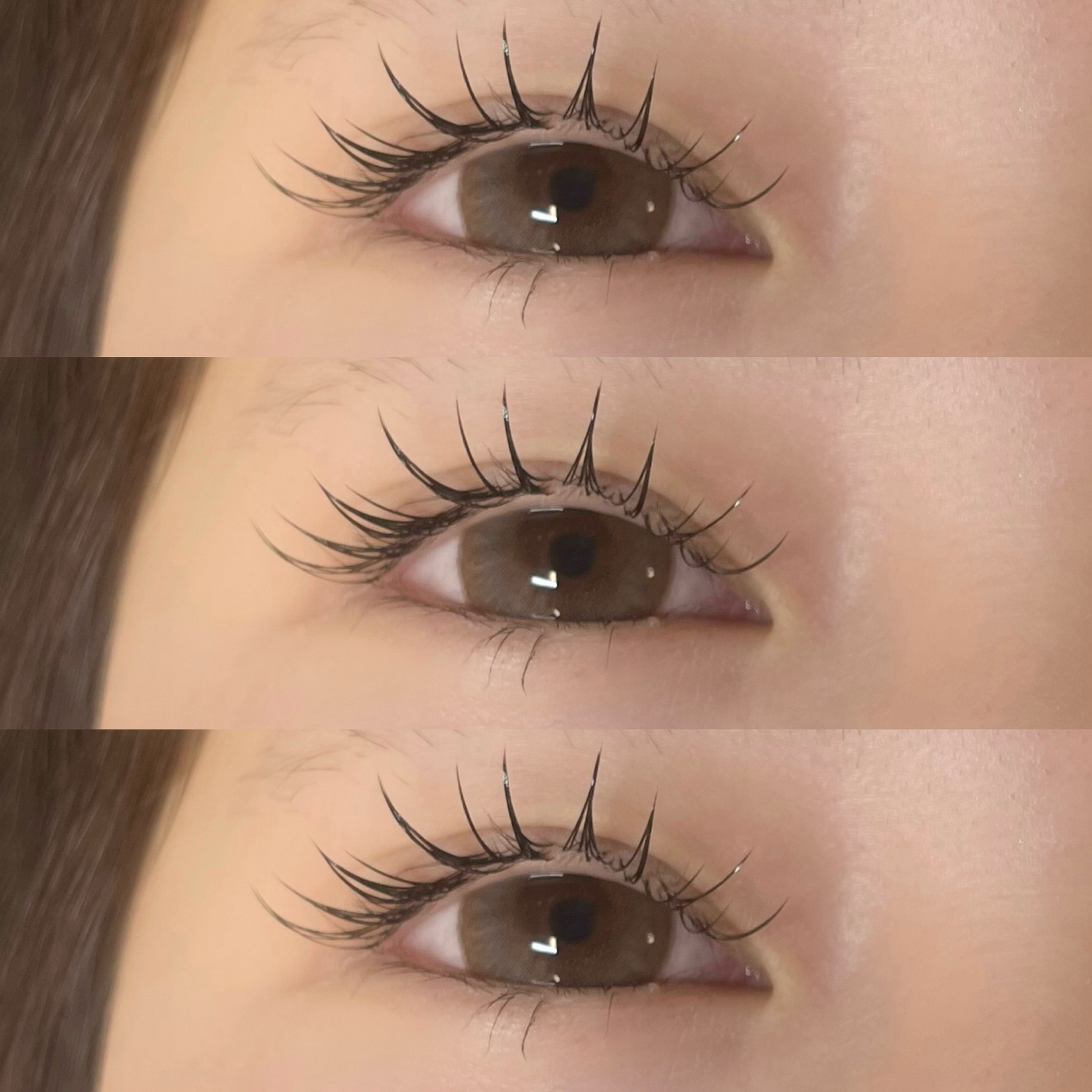 himawari_trueye