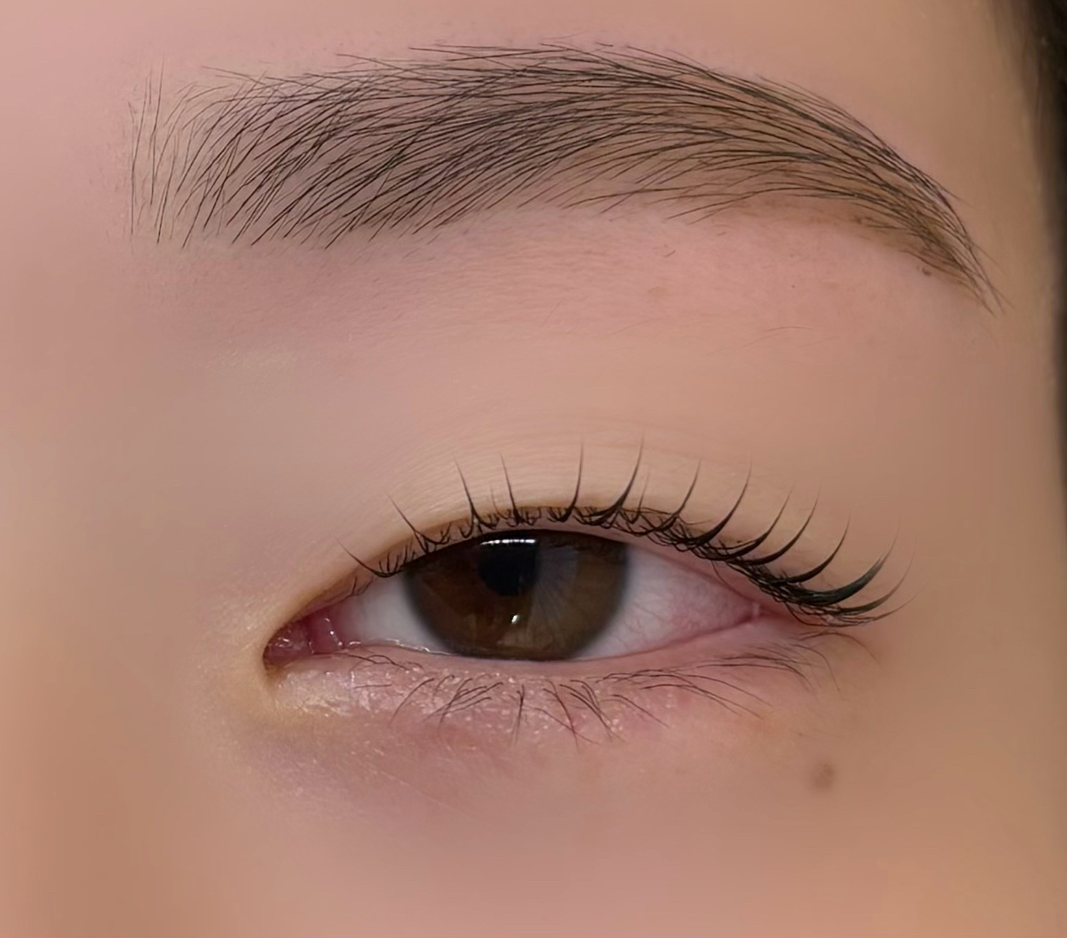 ef_eyelash.umi0830