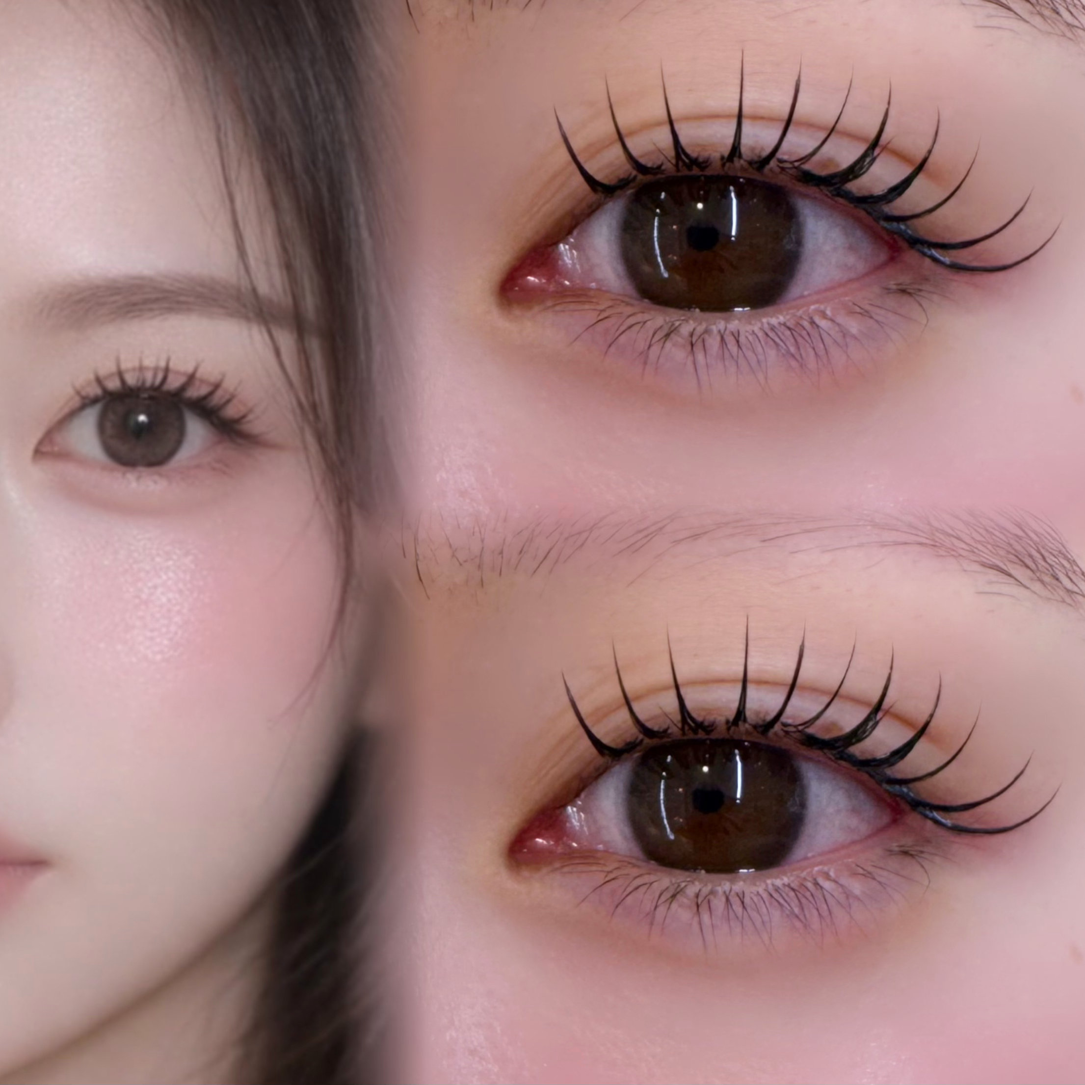 eye_ayame